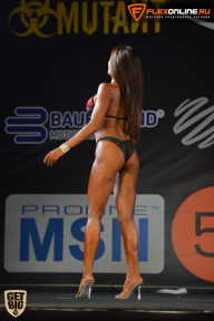 SN PRO EXPO - 2015
