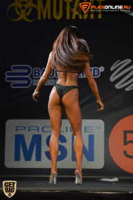 SN PRO EXPO - 2015