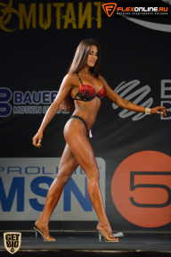 SN PRO EXPO - 2015