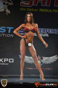 SN PRO EXPO - 2015