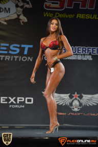 SN PRO EXPO - 2015