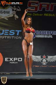 SN PRO EXPO - 2015