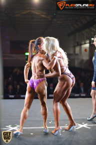 SN PRO EXPO - 2015