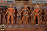 Men’s Physique & Bikini Stars - 2017