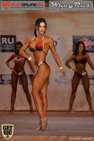 Men’s Physique & Bikini Stars - 2017