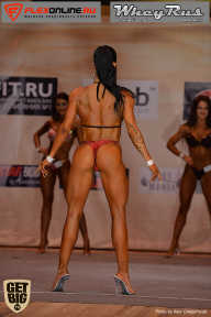 Men’s Physique & Bikini Stars - 2017