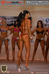 Men’s Physique & Bikini Stars - 2017