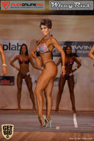 Men’s Physique & Bikini Stars - 2017