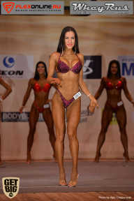 Men’s Physique & Bikini Stars - 2017