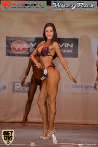 Men’s Physique & Bikini Stars - 2017
