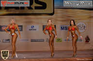 Men’s Physique & Bikini Stars - 2017