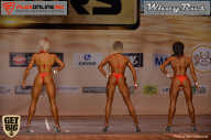 Men’s Physique & Bikini Stars - 2017