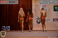 Men’s Physique & Bikini Stars - 2017