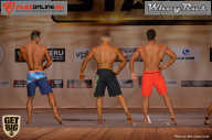 Men’s Physique & Bikini Stars - 2017