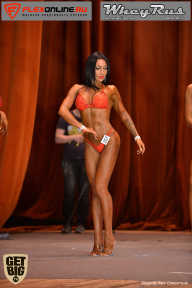 Men’s Physique & Bikini Stars - 2017