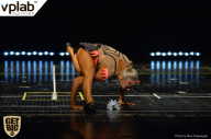 Чемпионат России по бодибилдингу - 2017