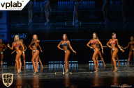 Чемпионат России по бодибилдингу - 2017
