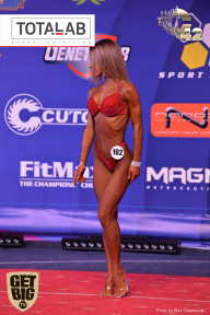 Кубок России по бодибилдингу - 2017