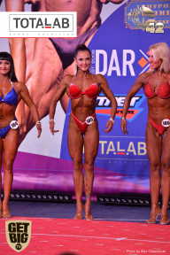 Кубок России по бодибилдингу - 2017