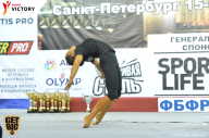 Чемпионат Санкт-Петербурга по бодибилдингу - 2017