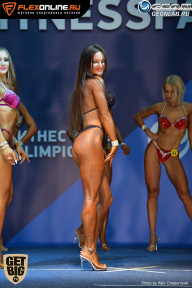 Grand Prix Dudushkin Fitness Family - 2017