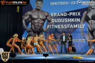 Grand Prix Dudushkin Fitness Family - 2017