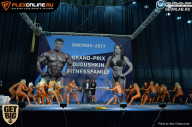 Grand Prix Dudushkin Fitness Family - 2017