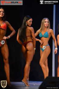 Кубок Ивановской области по бодибилдингу - 2017