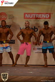 Men’s Physique & Bikini Stars - 2017
