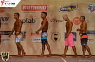 Men’s Physique & Bikini Stars - 2017