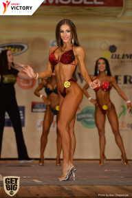Men’s Physique & Bikini Stars - 2017