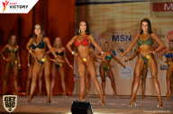 Men’s Physique & Bikini Stars - 2017