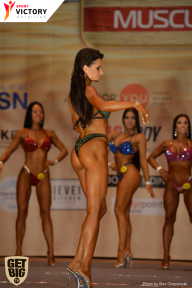 Men’s Physique & Bikini Stars - 2017