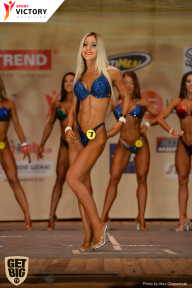 Men’s Physique & Bikini Stars - 2017