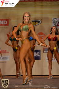 Men’s Physique & Bikini Stars - 2017