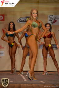 Men’s Physique & Bikini Stars - 2017