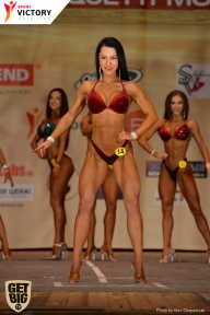 Men’s Physique & Bikini Stars - 2017