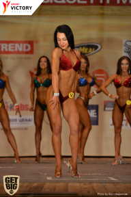 Men’s Physique & Bikini Stars - 2017