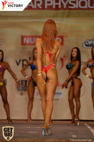 Men’s Physique & Bikini Stars - 2017