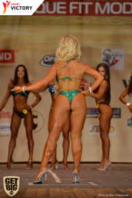 Men’s Physique & Bikini Stars - 2017