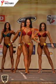 Men’s Physique & Bikini Stars - 2017