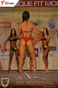 Men’s Physique & Bikini Stars - 2017