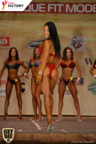 Men’s Physique & Bikini Stars - 2017