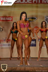 Men’s Physique & Bikini Stars - 2017