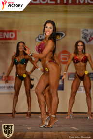 Men’s Physique & Bikini Stars - 2017