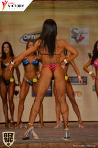 Men’s Physique & Bikini Stars - 2017