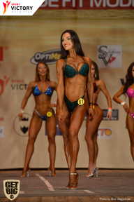 Men’s Physique & Bikini Stars - 2017