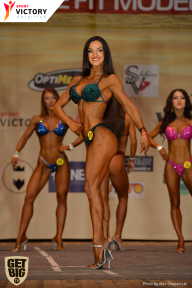 Men’s Physique & Bikini Stars - 2017