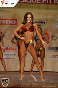 Men’s Physique & Bikini Stars - 2017