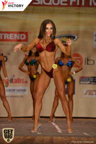 Men’s Physique & Bikini Stars - 2017